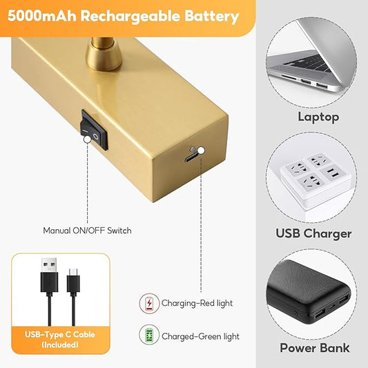 Picture Light for Wall Battery Operated, 12" Rechargeable Art Light with Remote and Timer for Painting, 3 Color Temps, Wireless Wall Light for Display, Artwork, Portrait, Gallery, Gold