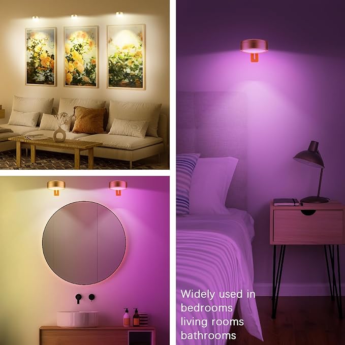 4 Pack Gold Picture Lights for Wall Battery Operated, 12 RGB Color Changing LED Wall Art Light, Magnetic Painting Light with Remote Control, Gallery Lights Photo Sconce for Art Display Frame
