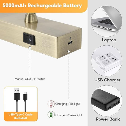 Picture Light for Wall Battery Operated, 12" Rechargeable Art Light with Remote and Timer for Painting, 3 Color Temps, Wireless Wall Light for Display, Artwork, Portrait, Gallery, Bronze