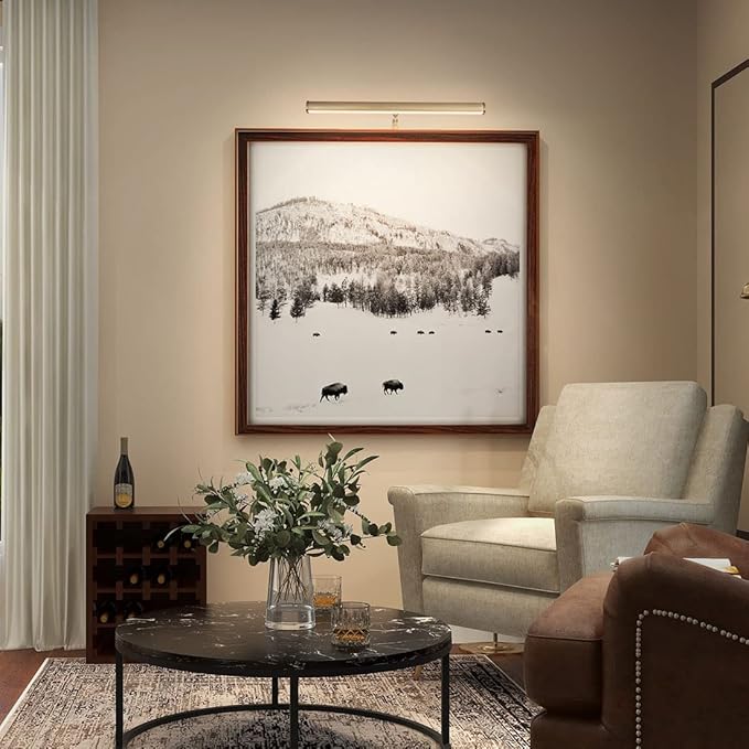LED Picture Lights for Paintings Plug in, 14 Inch 4W Adjustable Art Light Gallery Wall Light for Display Art Work, Antique Brass Finish, CRI90+, 3000K Warm White, ETL Listed