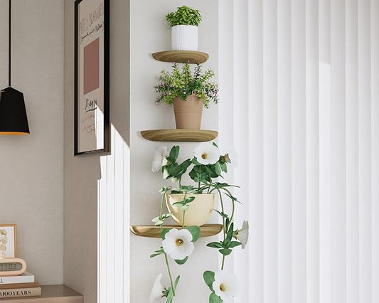 Solid Wood Half Round Floating Wall Shelves | Elegant Floating Shelves, Elevate Your Space. Perfect for Living Rooms, Bathrooms, Bedrooms, Offices, Children's Rooms Light Brown