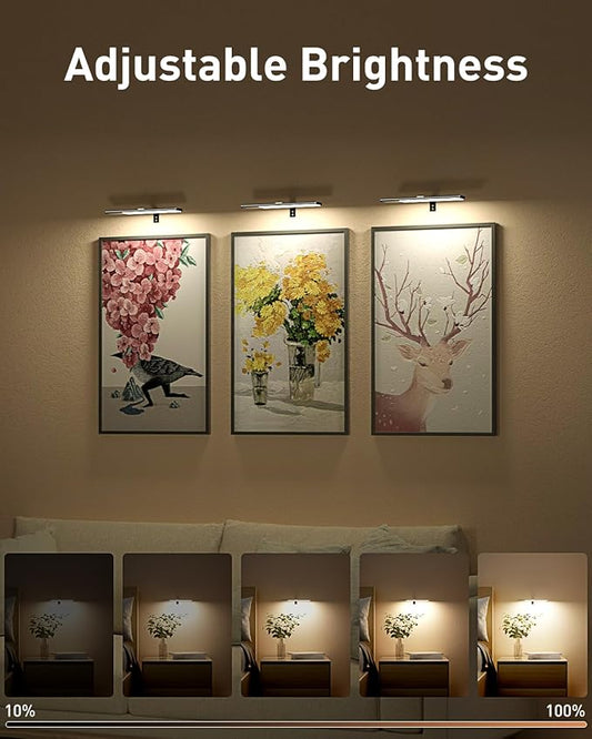 Diomart Picture Lights for Wall, 12'' Dimmable Remote LED Art Light with 15 Color Temps, USB-C Rechargeable Battery Picture Light Wireless, Timer, for Paintings, Canvas, Photos, Bedroom(Black) 