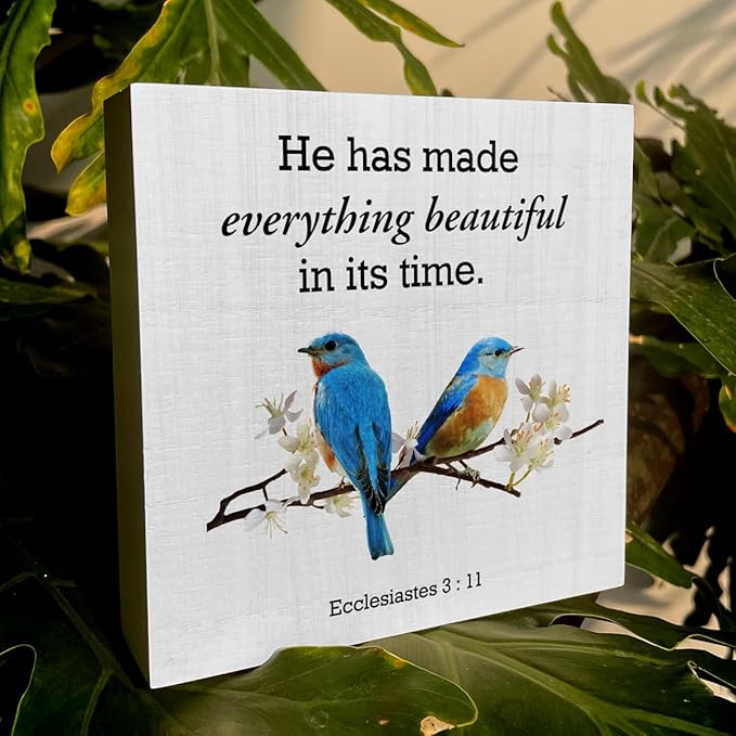 Country He Has Made Everything Bible Verse Artwork Wood Box Sign Rustic Farmhouse Style Ecclesiastes 3:11 Christian Wood Block Plaque 5 X 5 Inches Home Office Desk Sign Decor for Presents