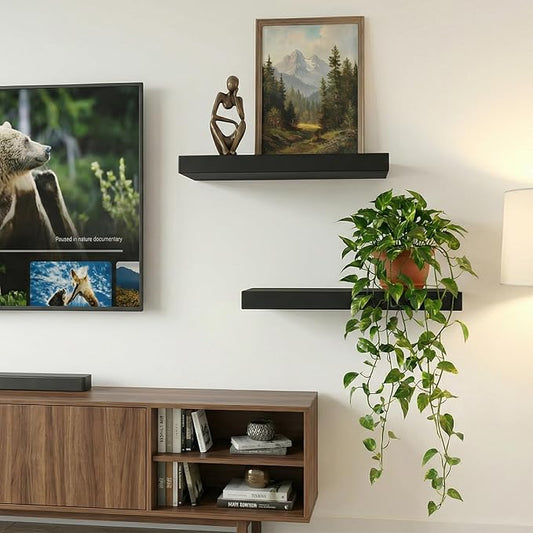 INHABIT UNION 17.5in Floating Shelves for Wall, Wall Mounted Shelves for Decor Storage Set of 2, Floating Shelf for Bedroom, Bathroom, Living Room and Kitchen(Black)