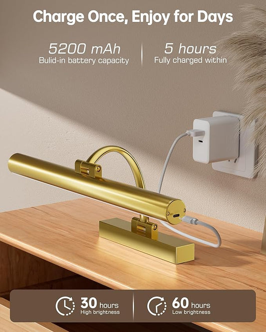 Picture Lights for Wall, 16.5" Rechargeable Art Light with Remote & Timer, 5200mAh Battery Operated Poster Lights, 3 Color Modes & 3 Brightness Levels for Pictures, Gallery, Photos (2 Pack)