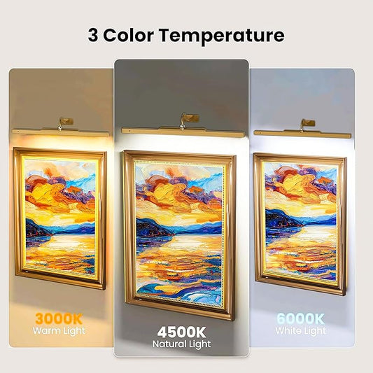 24 Inch Picture Light for Wall - Brass Battery Operated Wireless Wall Sconce with Remote & Timer for Artwork, Portrait, Photo & Frame