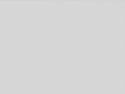 Ekena Millwork 16"W x 12"H x 5/8"P Legacy Raised Panel Decorative Wall Panel