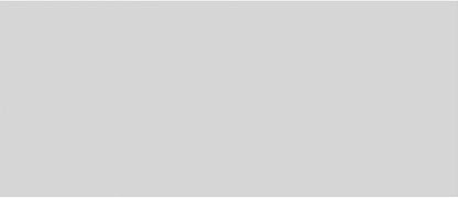 Ekena Millwork 28"W x 12"H x 5/8"P Legacy Raised Panel Decorative Wall Panel