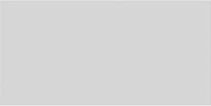 Ekena Millwork 40"W x 20"H x 5/8"P Legacy Raised Panel Decorative Wall Panel