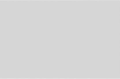Ekena Millwork 40"W x 26"H x 5/8"P Legacy Raised Panel Decorative Wall Panel