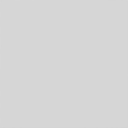 Ekena Millwork 20"W x 20"H x 5/8"P Legacy Raised Panel Decorative Wall Panel