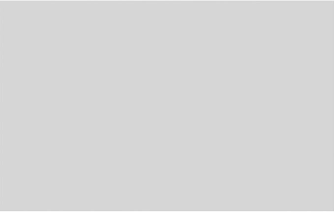 Ekena Millwork 38"W x 24"H x 5/8"P Legacy Raised Panel Decorative Wall Panel