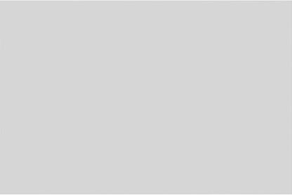 Ekena Millwork 24"W x 16"H x 5/8"P Legacy Raised Panel Decorative Wall Panel