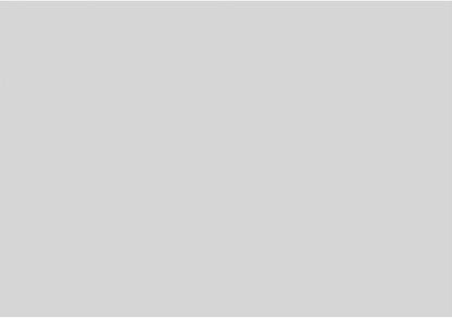 Ekena Millwork 40"W x 28"H x 5/8"P Legacy Raised Panel Decorative Wall Panel