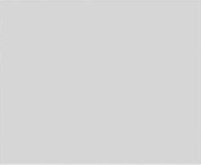 Ekena Millwork 22"W x 18"H x 5/8"P Legacy Raised Panel Decorative Wall Panel