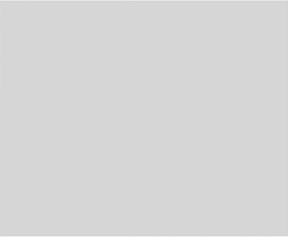 Ekena Millwork 22"W x 18"H x 5/8"P Legacy Raised Panel Decorative Wall Panel