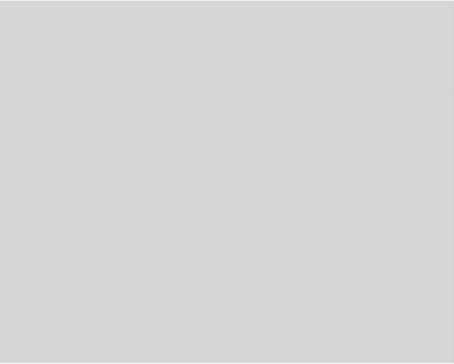 Ekena Millwork 40"W x 32"H x 5/8"P Legacy Raised Panel Decorative Wall Panel