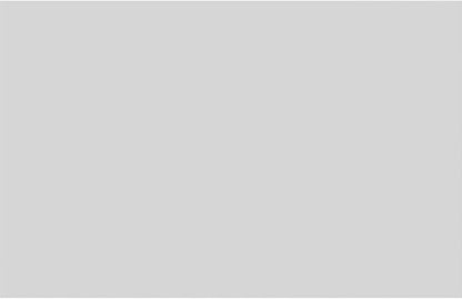 Ekena Millwork 28"W x 18"H x 5/8"P Legacy Raised Panel Decorative Wall Panel