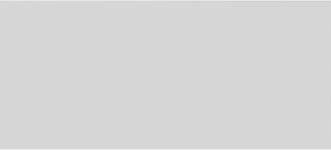 Ekena Millwork 40"W x 18"H x 5/8"P Legacy Raised Panel Decorative Wall Panel