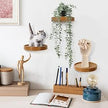 AceList 3-Pack Round Floating Shelves for Wall Decor, 6'' Diameter Beech Wood Floating Shelf, Cup Plant Wall Shelves for Bedroom, Bedroom, Living Room, Bathroom, Kitchen