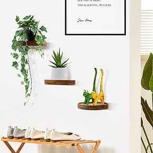 AceList 3-Pack Round Floating Shelves for Wall Decor, 6'' Diameter Acacia Wood Floating Shelf, Cup Plant Wall Shelves for Bedroom, Bedroom, Living Room, Bathroom, Kitchen, Western Decor