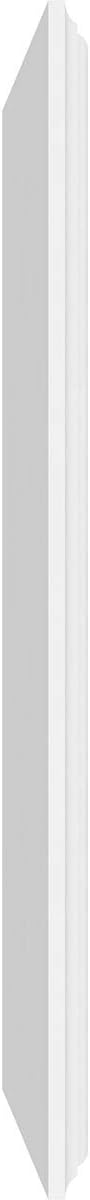 Ekena Millwork 20"W x 18"H x 5/8"P Legacy Raised Panel Decorative Wall Panel