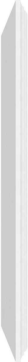 Ekena Millwork 24"W x 18"H x 5/8"P Legacy Raised Panel Decorative Wall Panel