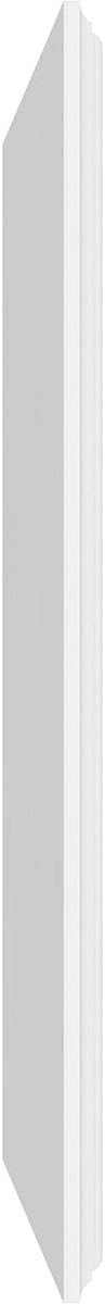 Ekena Millwork 40"W x 20"H x 5/8"P Legacy Raised Panel Decorative Wall Panel