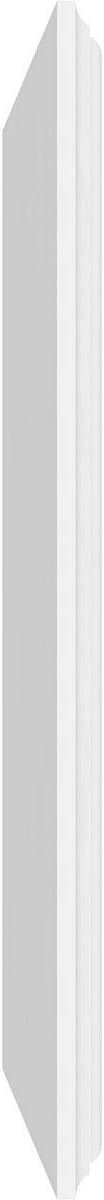 Ekena Millwork 30"W x 16"H x 5/8"P Legacy Raised Panel Decorative Wall Panel