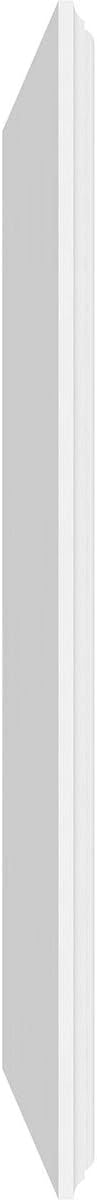 Ekena Millwork 38"W x 20"H x 5/8"P Legacy Raised Panel Decorative Wall Panel