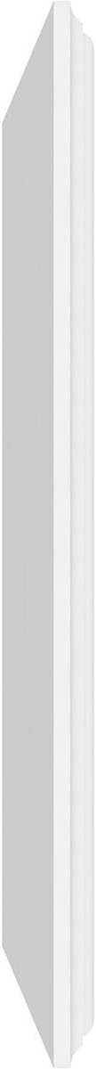 Ekena Millwork 40"W x 16"H x 5/8"P Legacy Raised Panel Decorative Wall Panel