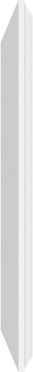 Ekena Millwork 38"W x 16"H x 5/8"P Legacy Raised Panel Decorative Wall Panel