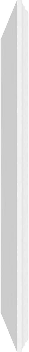 Ekena Millwork 40"W x 18"H x 5/8"P Legacy Raised Panel Decorative Wall Panel