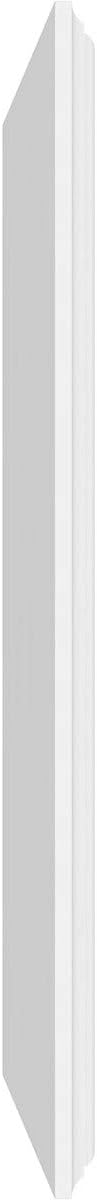 Ekena Millwork 28"W x 18"H x 5/8"P Legacy Raised Panel Decorative Wall Panel