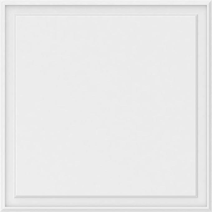 Ekena Millwork 40"W x 40"H x 5/8"P Legacy Raised Panel Decorative Wall Panel