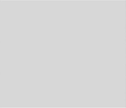 Ekena Millwork 14"W x 12"H x 5/8"P Legacy Raised Panel Decorative Wall Panel