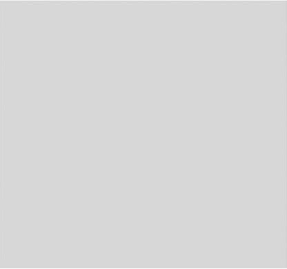 Ekena Millwork 30"W x 28"H x 5/8"P Legacy Raised Panel Decorative Wall Panel