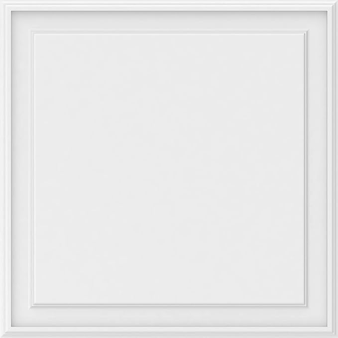 Ekena Millwork 30"W x 30"H x 5/8"P Legacy Raised Panel Decorative Wall Panel