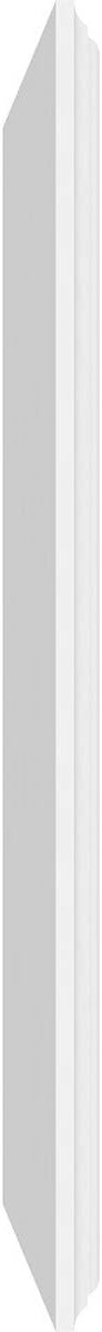 Ekena Millwork 22"W x 18"H x 5/8"P Legacy Raised Panel Decorative Wall Panel