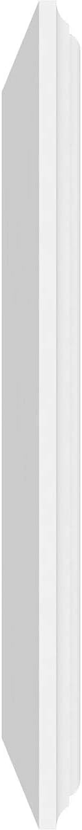 Ekena Millwork 24"W x 12"H x 5/8"P Legacy Raised Panel Decorative Wall Panel