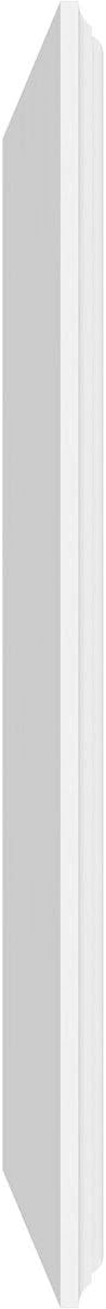 Ekena Millwork 30"W x 18"H x 5/8"P Legacy Raised Panel Decorative Wall Panel