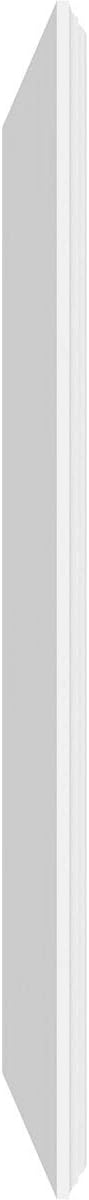 Ekena Millwork 40"W x 24"H x 5/8"P Legacy Raised Panel Decorative Wall Panel