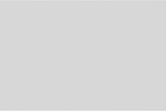 Ekena Millwork 30"W x 20"H x 5/8"P Legacy Raised Panel Decorative Wall Panel