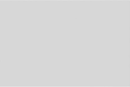 Ekena Millwork 30"W x 20"H x 5/8"P Legacy Raised Panel Decorative Wall Panel