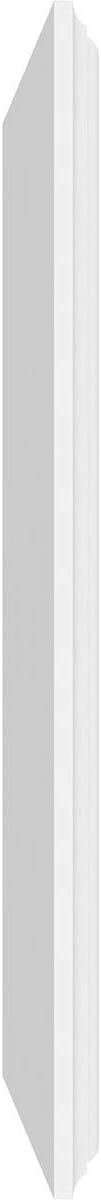 Ekena Millwork 24"W x 16"H x 5/8"P Legacy Raised Panel Decorative Wall Panel