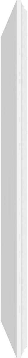Ekena Millwork 32"W x 20"H x 5/8"P Legacy Raised Panel Decorative Wall Panel