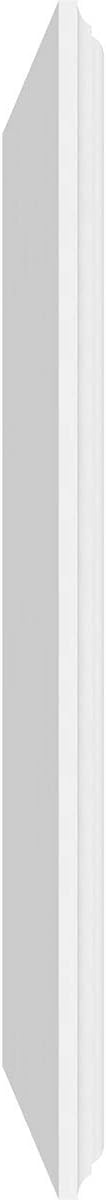 Ekena Millwork 34"W x 16"H x 5/8"P Legacy Raised Panel Decorative Wall Panel