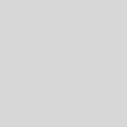 Ekena Millwork 14"W x 14"H x 5/8"P Legacy Raised Panel Decorative Wall Panel