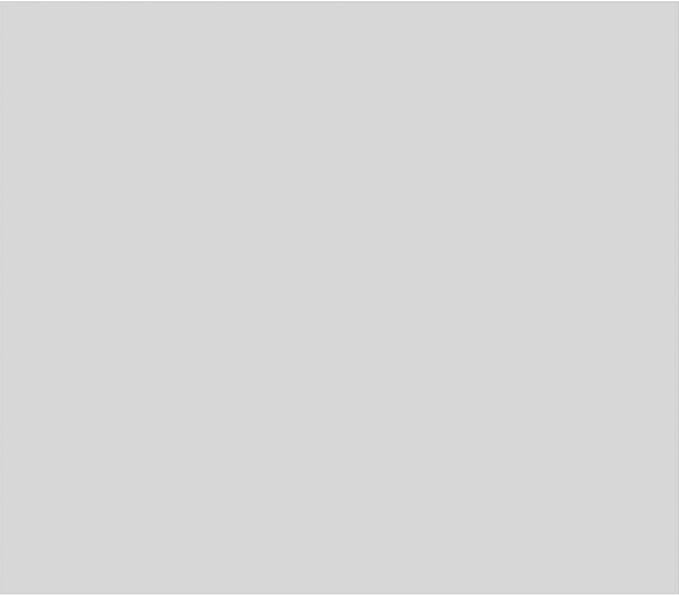 Ekena Millwork 32"W x 28"H x 5/8"P Legacy Raised Panel Decorative Wall Panel