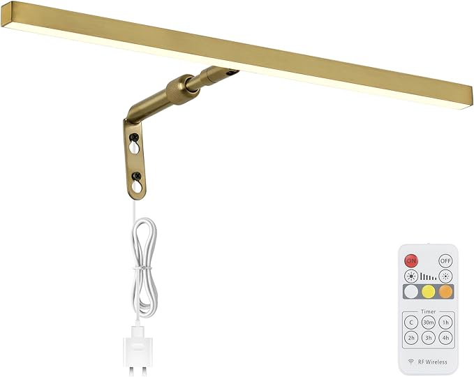 Brass Picture Lights for Paintings Plug in, 16" 4W Adjustable LED Gold Picture Light Art Light, Remote Control Gallery Painting Wall Light for Picture Display Dartboard Art Work (Gold)